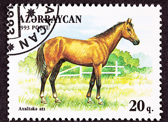 Image showing Canceled Azerbaijan Postage Stamp Brown, Akhal-Teke Breed Horse 