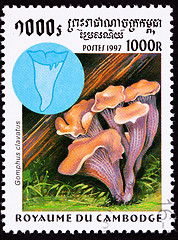 Image showing Canceled Cambodian Postage Stamp Pig's Ears Mushroom Gomphus Cla