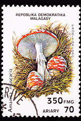 Image showing Canceled Madagascar Postage Stamp Toadstool Fly Agaric mushroom,