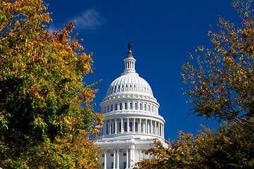 Image showing Capitol Building Framed Autumn Foliage Washington DC, Polarized 