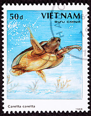 Image showing Canceled Vietnamese Postage Stamp Loggerhead Sea Turtle, Caretta