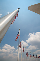 Image showing Wide Angle American Flags Flagpoles Washington Monument, Washing