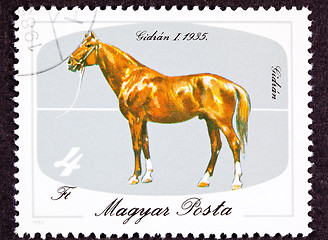Image showing Canceled Hungary Postage Stamp Hungarian Horse Breeds Gidran Iso