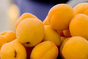 Image showing Apricots