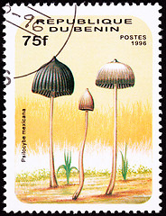 Image showing Canceled Benin Postage Stamp Teonanacatl Psilocybin Psychedelic 