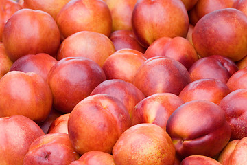 Image showing Nectarines