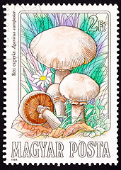 Image showing Canceled Hungarian Postage Stamp Meadow Mushroom, Agaricus Campe
