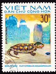 Image showing Canceled Vietnamese Postage Stamp Big-headed Turtle Platysternon