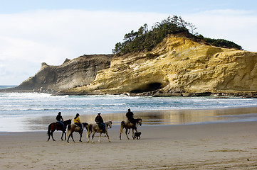 Image showing Horseback riding