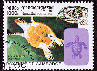 Image showing Canceled Cambodian Postage Stamp Swimming Hawksbill Sea Turtle, 