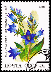 Image showing Russia Postage Stamp Flower Giant Bellflower Campanula Latifolia