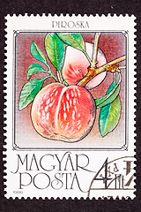 Image showing Hungary Post Stamp Ripe Pink Peaches Branch Leaves