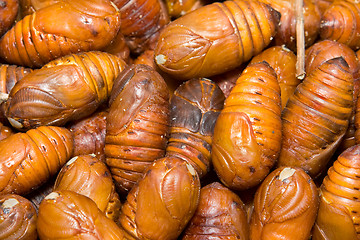 Image showing Full Frame Close-Up Heap Moth Pupae  Larva