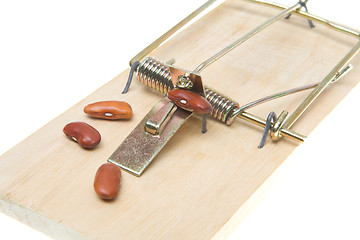 Image showing Mousetrap Baited with Beans, Accounting Joke, Isolated Backgroun