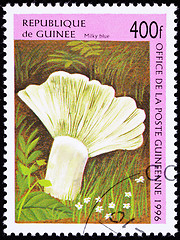 Image showing Canceled Guinea Postage Stamp Milky Blue Mushroom Lactarius Indi