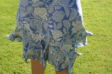 Image showing Beautiful skirt