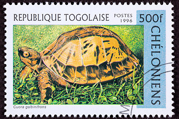 Image showing Canceled Togan Postage Stamp Vietnamese Box Turtle Cuora Galbini