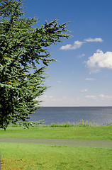 Image showing Path and Tree in Front of Chesapeake Bay       