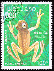 Image showing Canceled Laotian Postage Stamp Brown Frog Hyalinobatrachium Vire