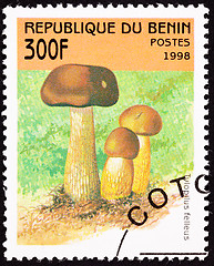 Image showing Canceled Benin Postage Stamp Brown Tylopilus Felleus Formerly Bo