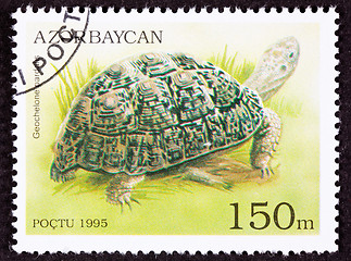 Image showing Canceled Azerbaijan Postage Stamp Leopard Tortoise Geochelone Pa