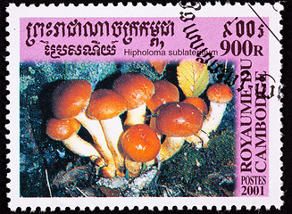 Image showing Canceled Cambodian Postage Stamp Orange Brick Cap Mushroom, Hyph