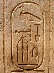 Image showing Hieroglyphs #1