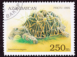 Image showing Canceled Azerbaijan Postage Stamp Walking Indian Star Tortoise, 