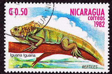 Image showing Canceled Nicaraguan Postage Stamp Green Iguana Lizard Branch Mar
