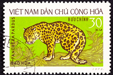 Image showing Canceled North Vietnamese Postage Stamp Leopard Panthera Pardus,