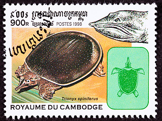 Image showing Cambodian Postage Stamp, Spiny Softshell Turtle, Apalone Spinife