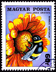 Image showing Hungarian Postage Stamp Garden Bumblebee Bombus Hortorum Blanket