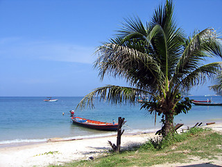 Image showing Palm and boat on a beach