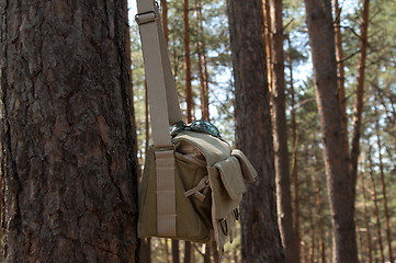 Image showing Shoulder bag hanging on pine tree