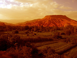 Image showing Oasis in sepia (or a Martian colony?)