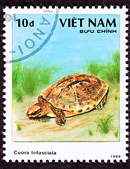 Image showing Canceled Vietnamese Postage Stamp Golden Coin Turtle cuora trifa