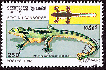 Image showing Canceled Cambodian Postage Stamp Kuhl's Flying Gecko, Ptychozoon