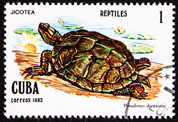 Image showing Postage Stamp, Turtle, Jicotea, North Antillean Slider, Trachemy