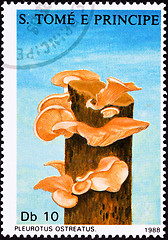 Image showing SÃ£o TomÃ© Postage Stamp Oyster Mushroom, Pleurotus Ostreatus Tr