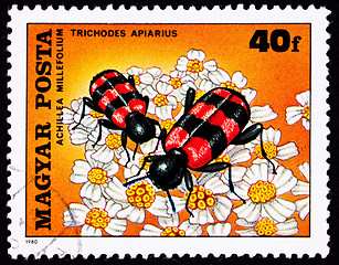 Image showing Hungarian Postage Stamp Bee Beetle Trichodes Apiarius,Yarrow Ach