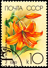 Image showing Canceled Soviet Russia Postage Stamp Orange Lily Flower, African