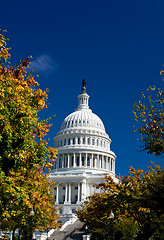 Image showing U.S. Capital Building Washington DC Autumn Yellow