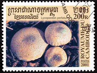 Image showing Canceled Cambodian Postage Stamp Clump Common Puffball Mushroom 