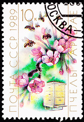 Image showing Canceled Soviet Postage Stamp Cherry Blossom Bee Hive Cultivatio