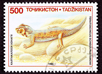 Image showing Canceled Tajikistan Postage Stamp Common Wonder Gecko, Lizard, T