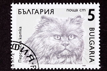 Image showing Canceled Bulgarian Postage Stamp Fuzzy Longhaired Persian Cat Br