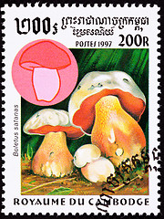 Image showing Canceled Cambodian Postage Stamp Satan's Mushroom Boletus Satana