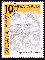 Image showing Canceled Bulgarian Postage Stamp Fuzzy Longhaired Persian Cat Br