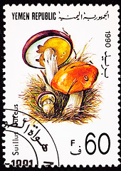 Image showing Canceled Yemeni Postage Stamp Clump Slippery Jack Mushroom Suill