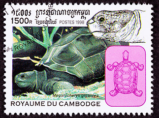 Image showing Canceled Cambodian Postage Stamp Aldabra Giant Tortoise Geochelo